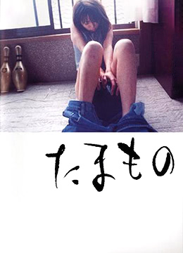 便当HD