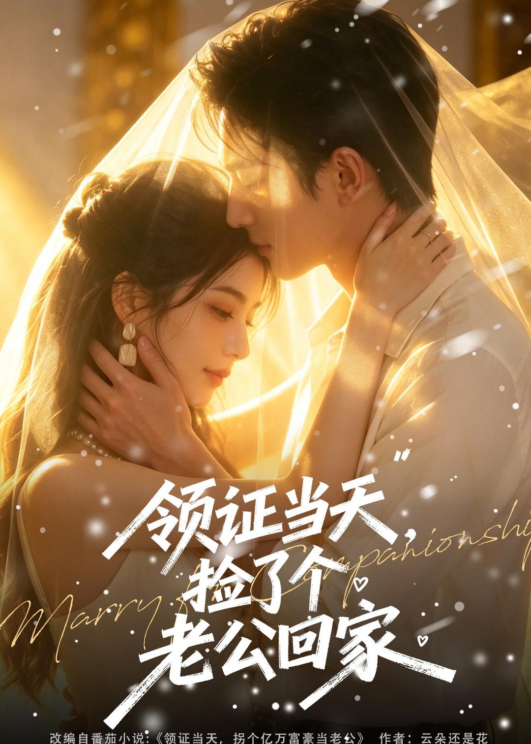 领证当天，捡了个老公回家(全集)