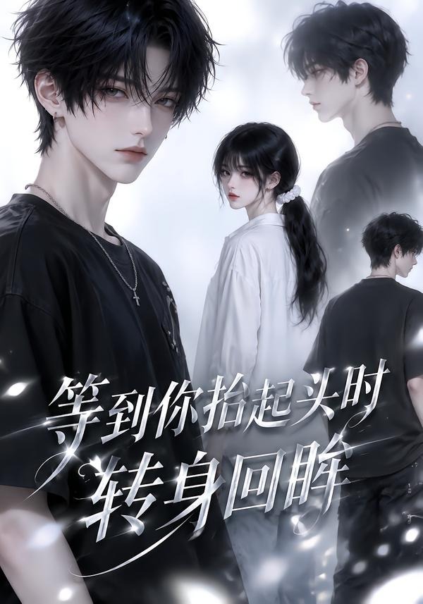 等到你抬起头时转身回眸(全集)