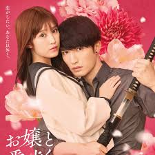 大小姐与看门犬