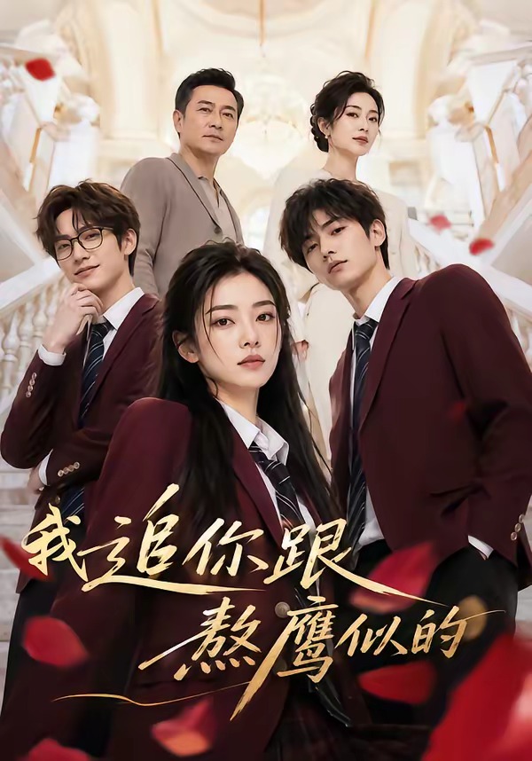 我追你跟熬鹰似的(全集)