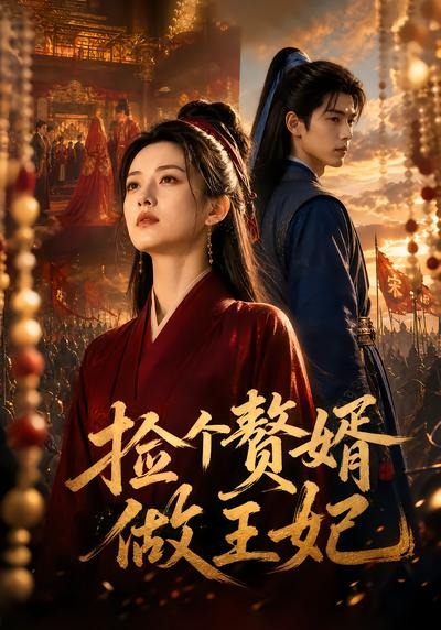 捡个赘婿做王妃(全集)
