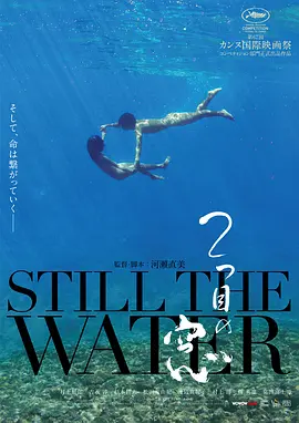 第二扇窗正片