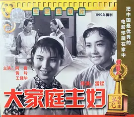 大家庭的主妇正片