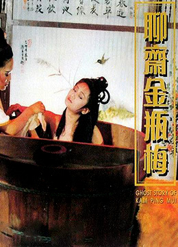 聊斋金瓶梅DVD中英双字